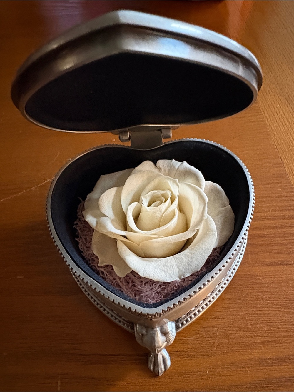 Vintage Heart Shaped Pewter Box with Cream Preserved Rose
